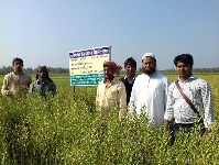 চাষী পর্যায়ে উন্নত মানের ডাল, তেল ও পিয়াঁজ বীজ উৎপাদন (২য় পর্যায়) প্রকল্প, উপজেলা কৃষি অফিস, পেকুয়া, কক্সবাজার।