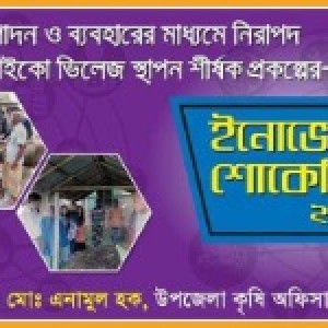 রাজশাহী বিভাগীয় ইনোভেশন শোকেসিং - ২০১৯