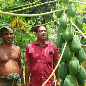 মন্ডলপাড়া কৃষক সংগঠন